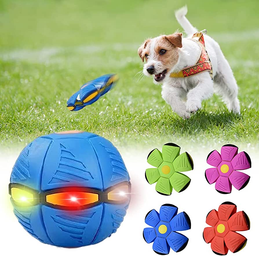 Barkly™ Dog Frisbee