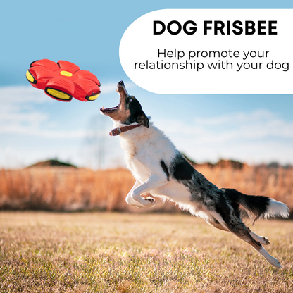 Barkly™ Dog Frisbee