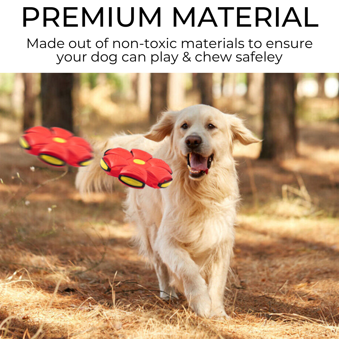 Barkly™ Dog Frisbee